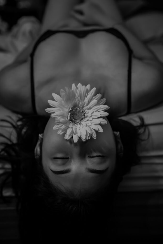Daisy Flower