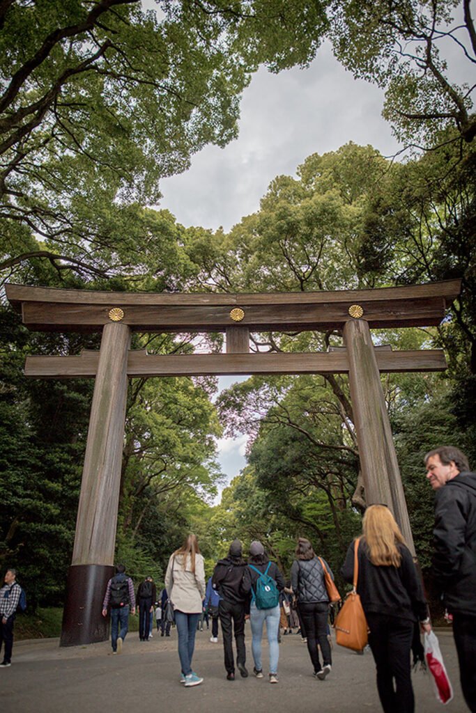 Meiji Jingu First Torii Gate